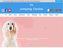 Tablet Screenshot of jumpingchollas.com